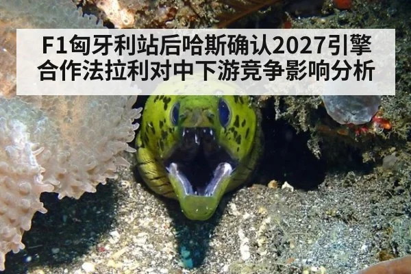 F1匈牙利站后哈斯确认2027引擎合作法拉利对中下游竞争影响分析